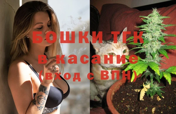 крисы Арсеньев