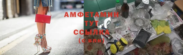 ПСИЛОЦИБИНОВЫЕ ГРИБЫ Алзамай